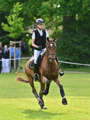 WhatsApp Image 2026-01-30 at 17.51.05