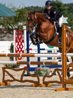 WhatsApp Image 2026-02-18 at 13.45.55(2)