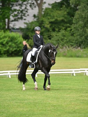 WhatsApp Image 2026-02-18 at 13.45.55(3)